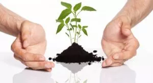 Unterschied zwischen Talentmanagement und HR