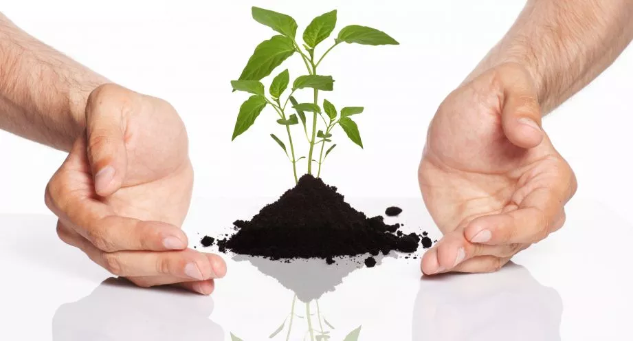 Unterschied zwischen Talentmanagement und HR