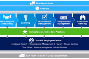 Virtuell zusammen lernen - durch SAP Enterprise Learning