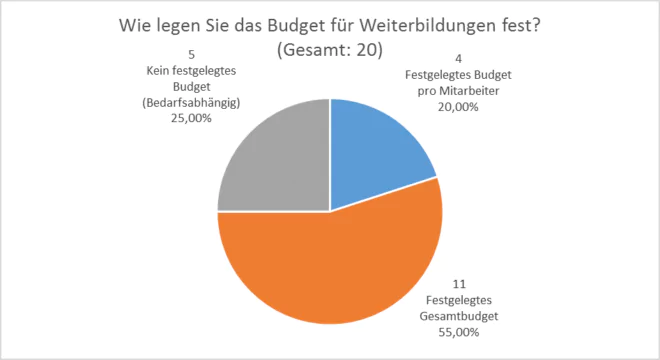 Anforderungsanalyse SAP LSO: Festlegung des Budgets