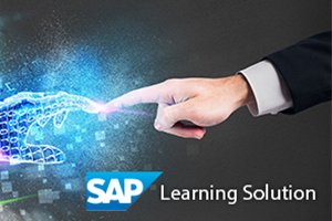 Einführung SAP Learning Solution