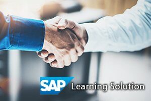 Ihr persönlicher SAP Learning Solution Experte